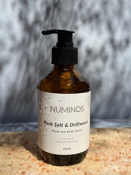 Rock Salt & Driftwood  - Hand & Body Wash