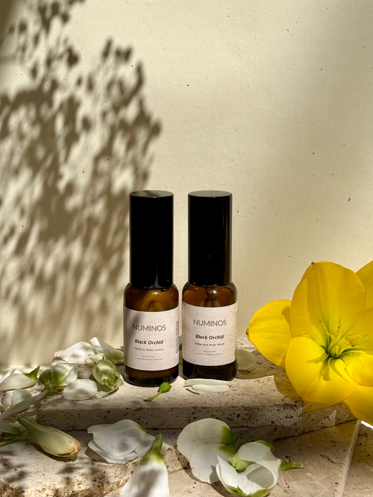 Black Orchid - Hand & Body Wash