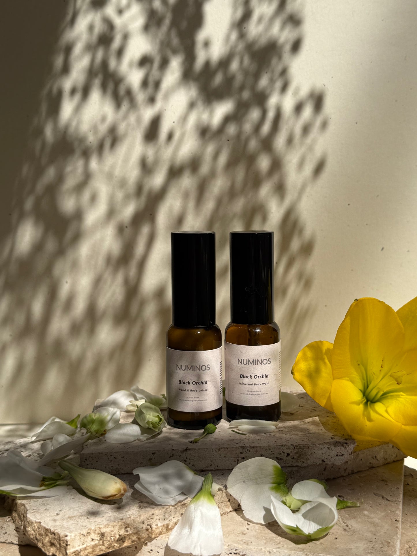 Black Orchid - Hand & Body Wash