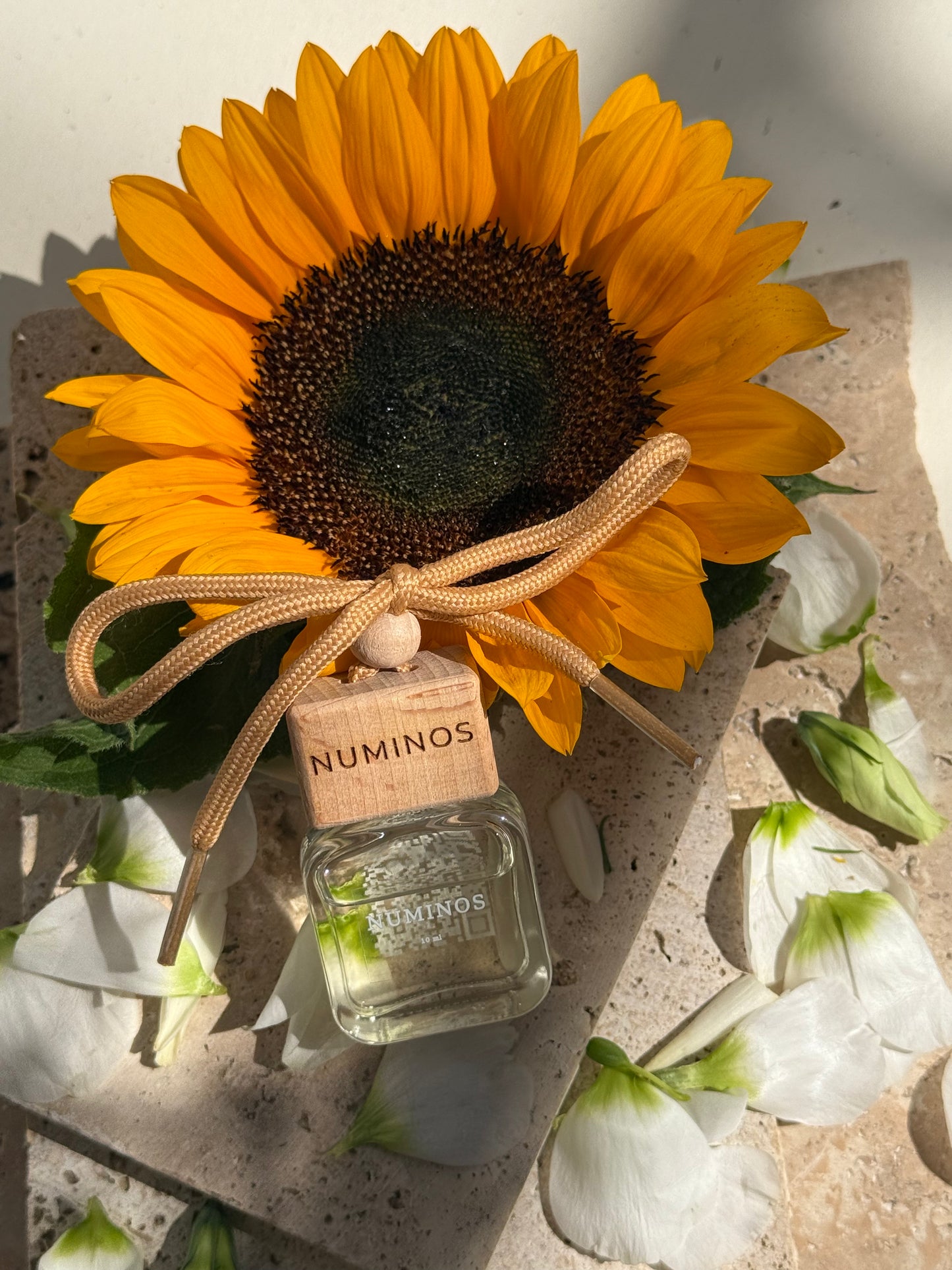 Parfum de maşinǎ