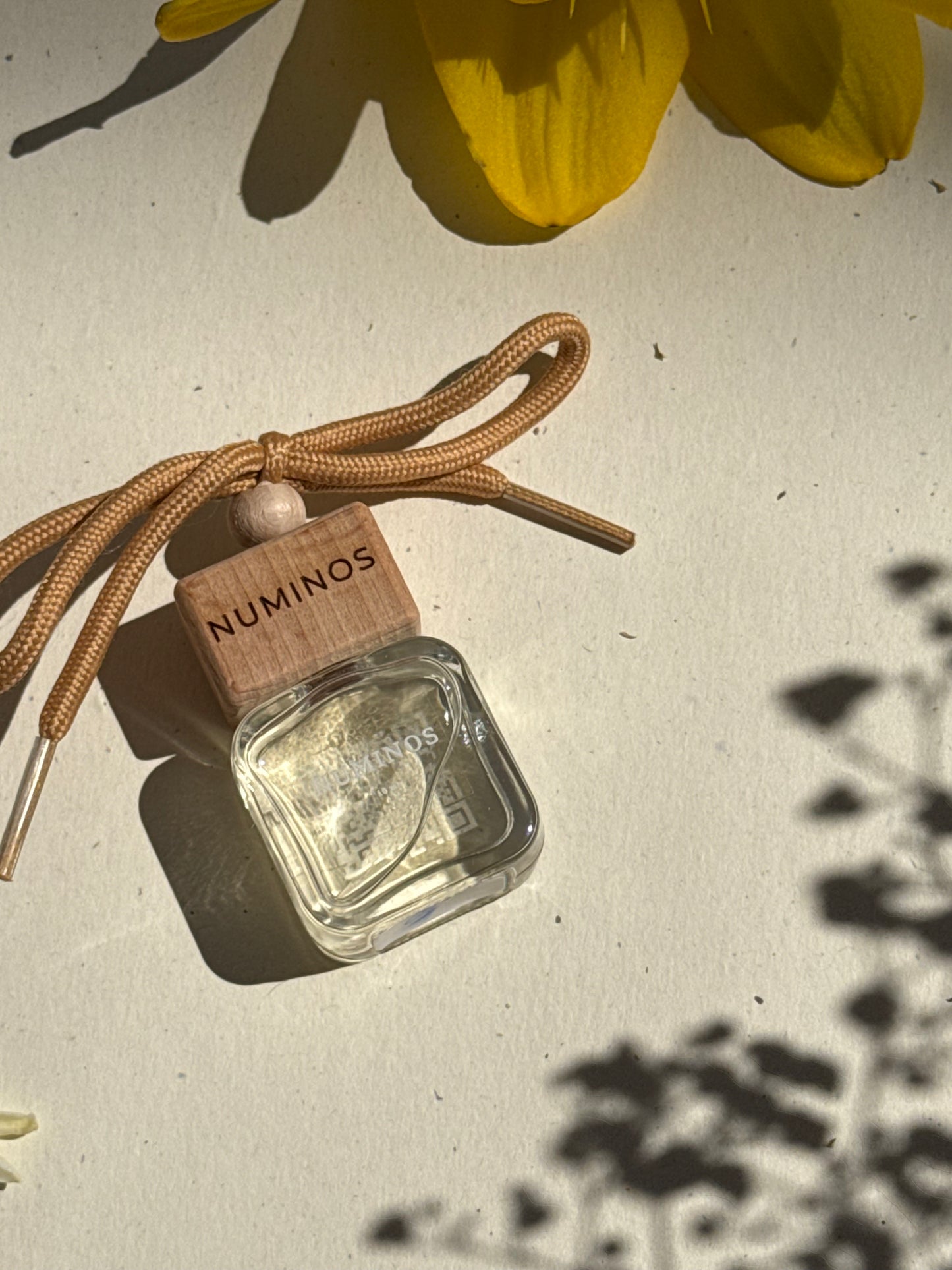 Parfum de maşinǎ