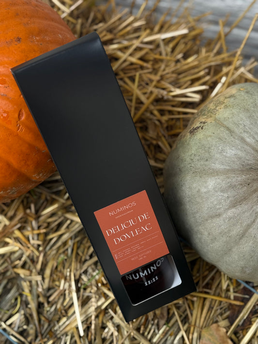Deliciu de dovleac- Difuzor cu bete, Editie Halloween