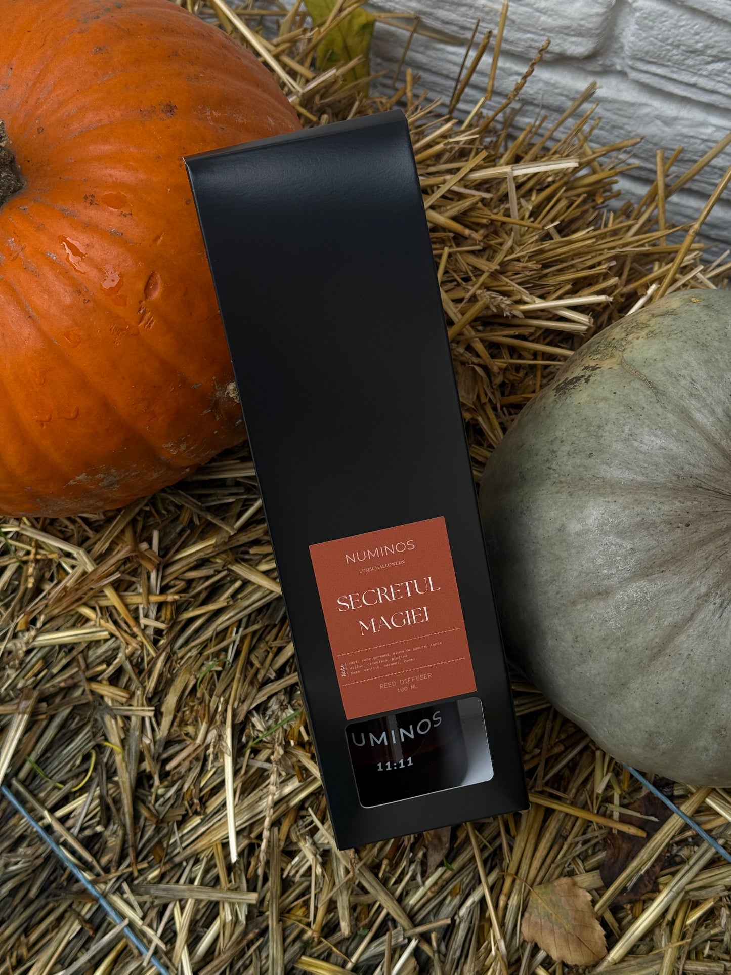 Secretul magiei - Difuzor cu bete, Editie Halloween