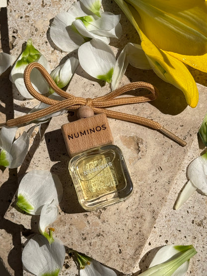 Parfum de maşinǎ