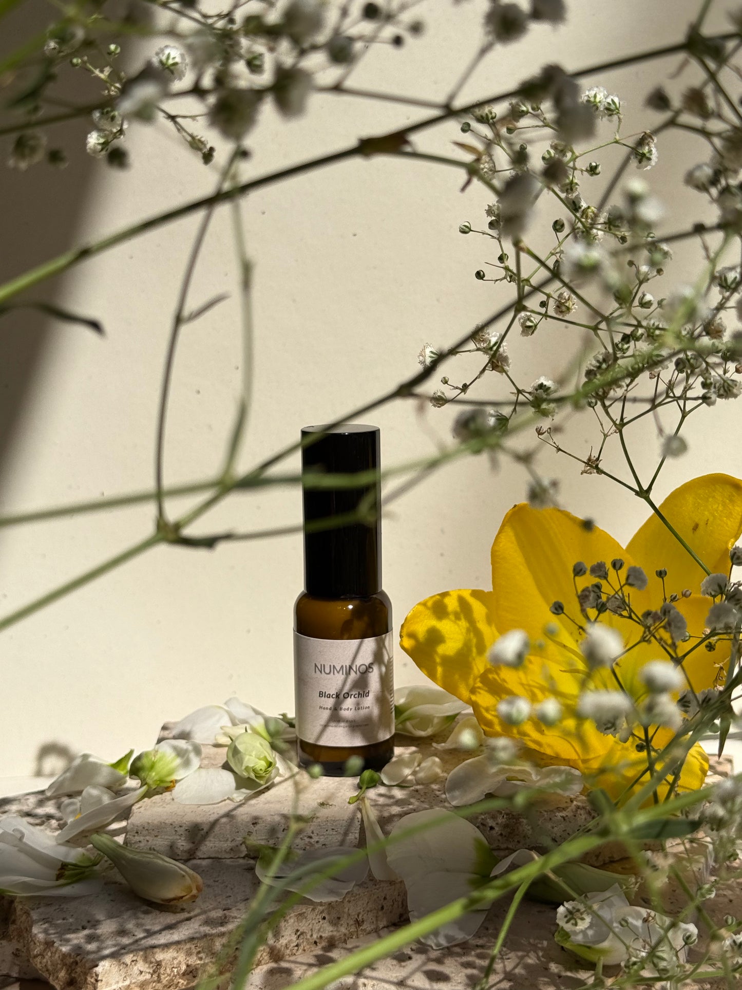 Black Orchid - Hand & Body Lotion