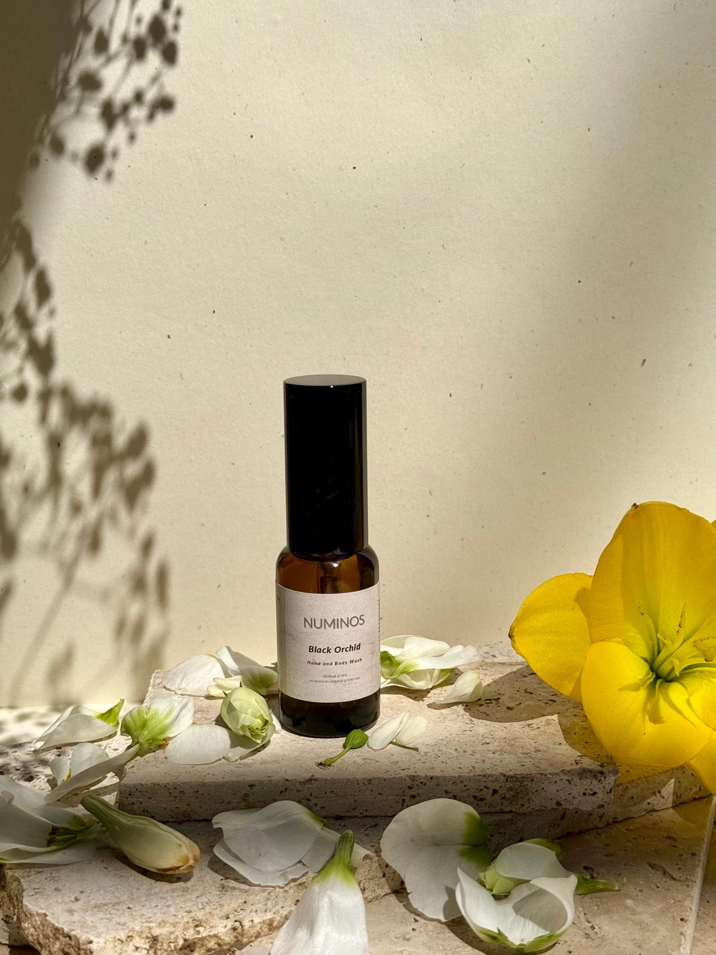 Black Orchid - Hand & Body Wash