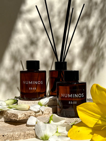 11:11 Reed Diffuser