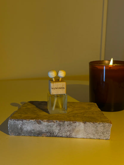 Parfum de maşinǎ