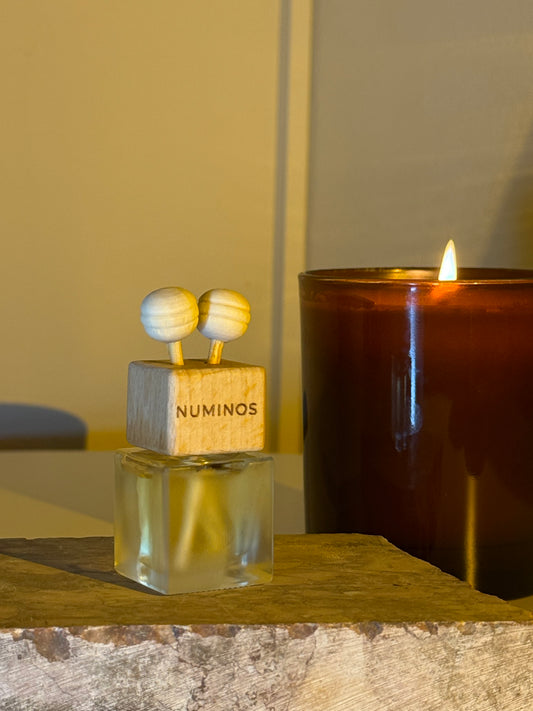 Parfum de maşinǎ