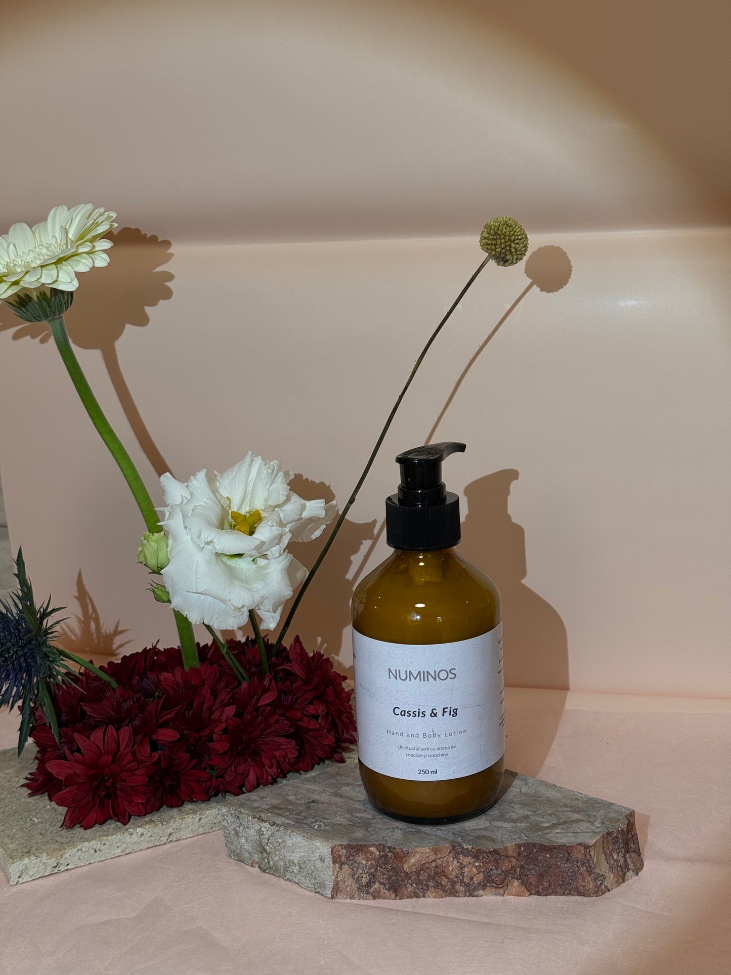 Cassis & Fig - Hand & Body Lotion
