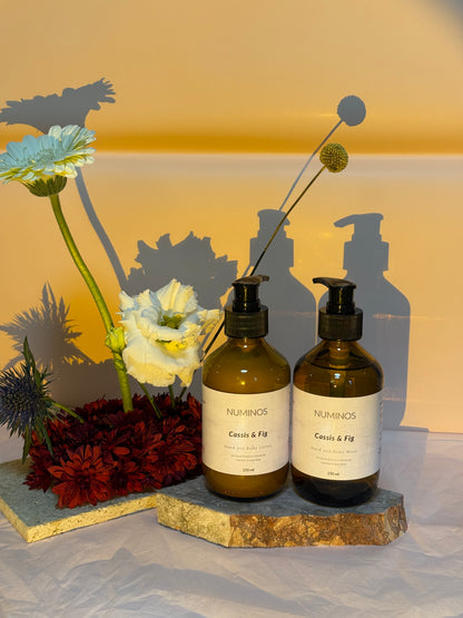 Cassis & Fig - Hand & Body Lotion