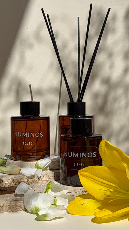 11:11 Reed Diffuser