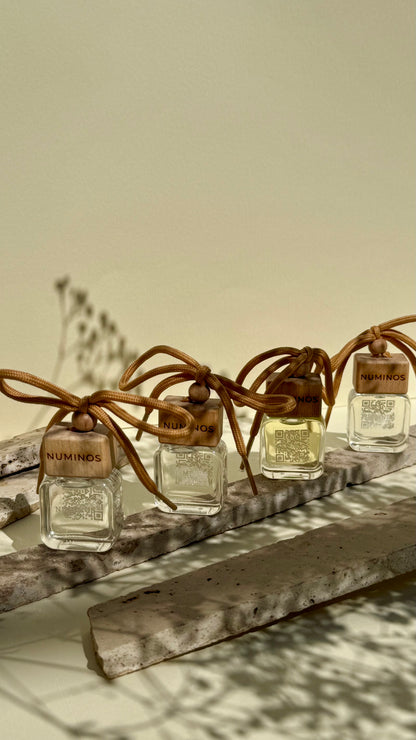 Parfum de maşinǎ