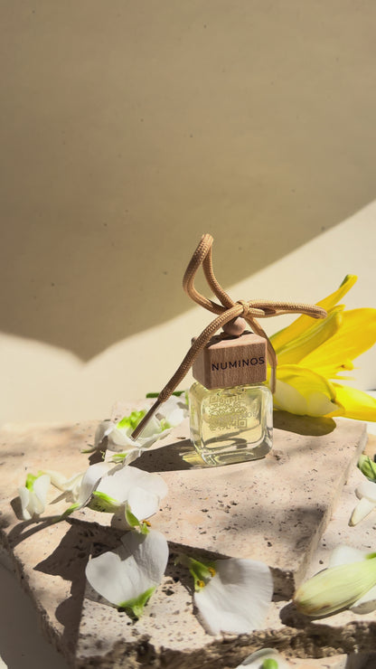 Parfum de maşinǎ