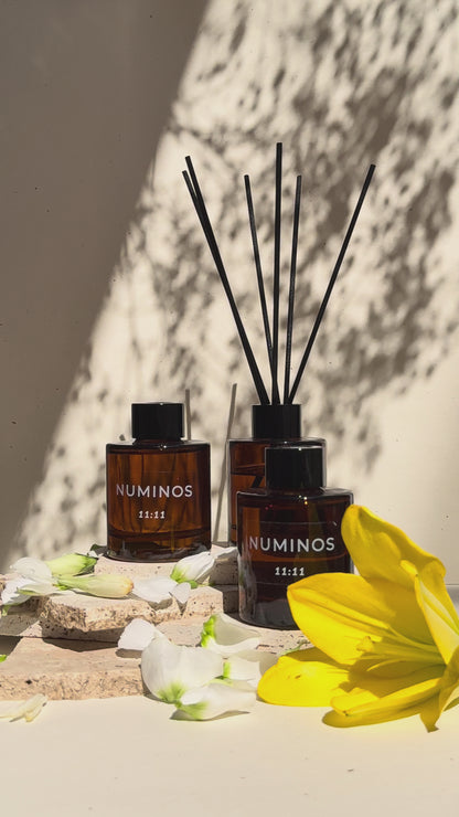 11:11 Reed Diffuser